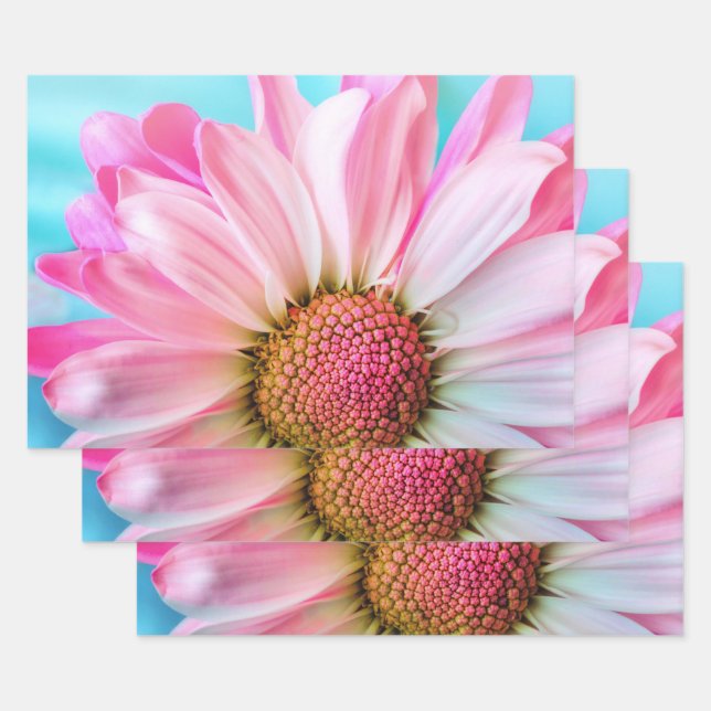 Beautiful Pink Flower Close Up Photo Wrapping Paper Sheet (Set)