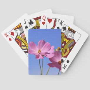 beautiful pink flowers hugging a clear blue sky playing cards