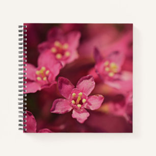 Beautiful Pink Flowers Notebook