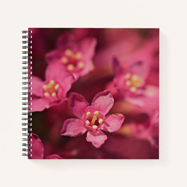 Beautiful Pink Flowers Notebook (Front)