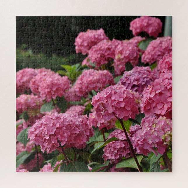 Beautiful pink hydrangea flowers jigsaw puzzle (Vertical)