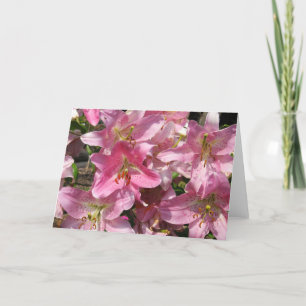 Beautiful Pink Lilies Card
