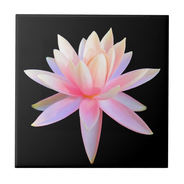 Beautiful Pink Lily Lotus Art Cool Unique Tile (Front)