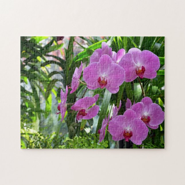 Beautiful pink moth orchid print puzzle (Horizontal)
