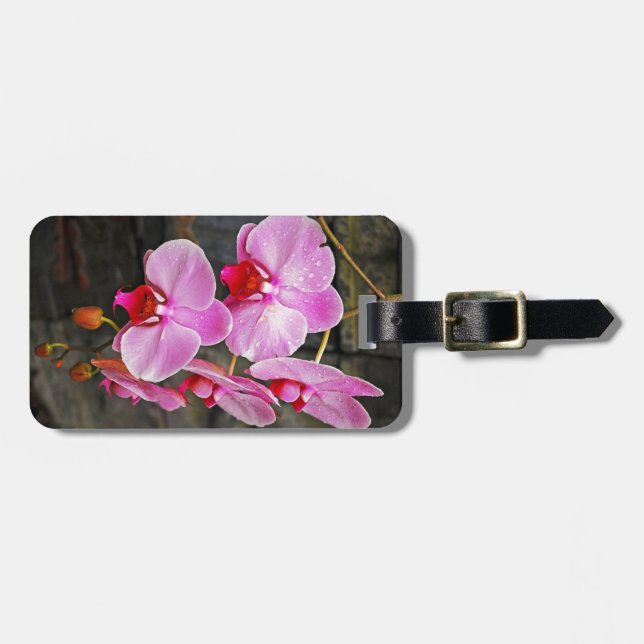 Beautiful pink moth orchids luggage tag (Front Horizontal)