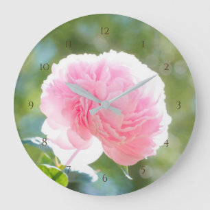 Beautiful Pink Peony Flower in Sunlight Large Clock