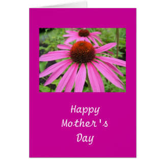 beautiful pink purple flowers