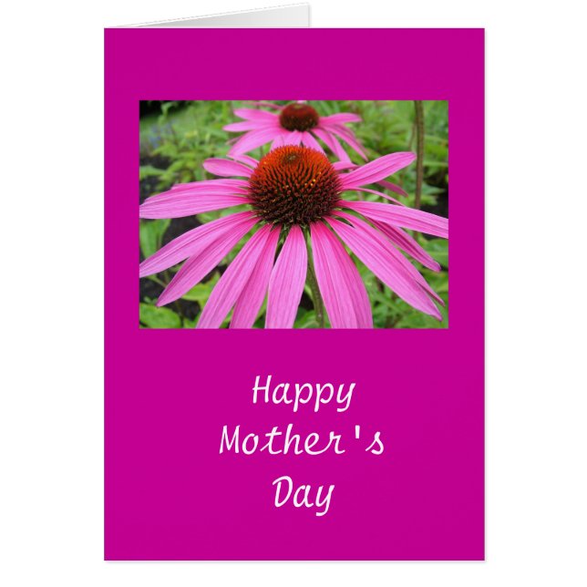 beautiful pink purple flowers (Front)