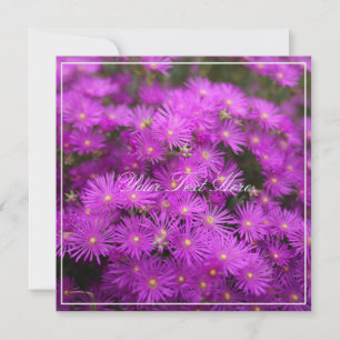 Beautiful Pink Putple Flowers Your Text Flat Card