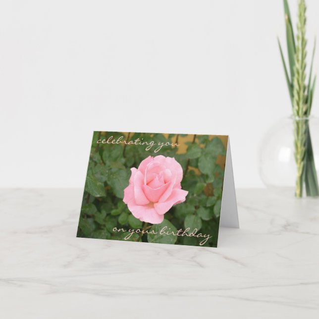 Beautiful Pink Rose Birthday Card (Front)