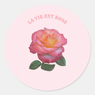 Beautiful Pink Rose Classic Round Sticker