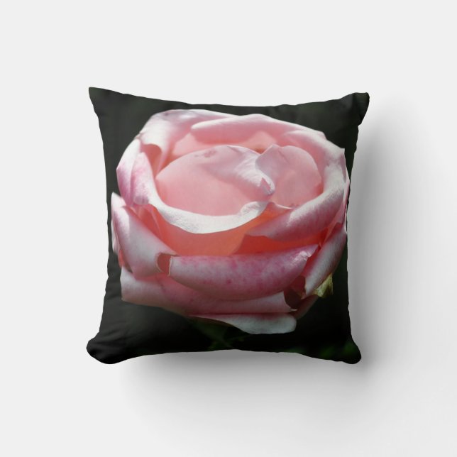 Beautiful Pink Rose Close-up Cushion (Front)