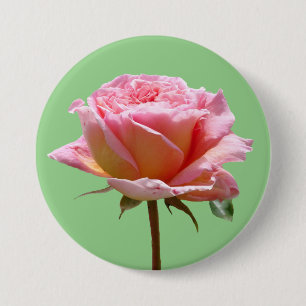 Beautiful Pink Rose Close Up Cust. BG Button