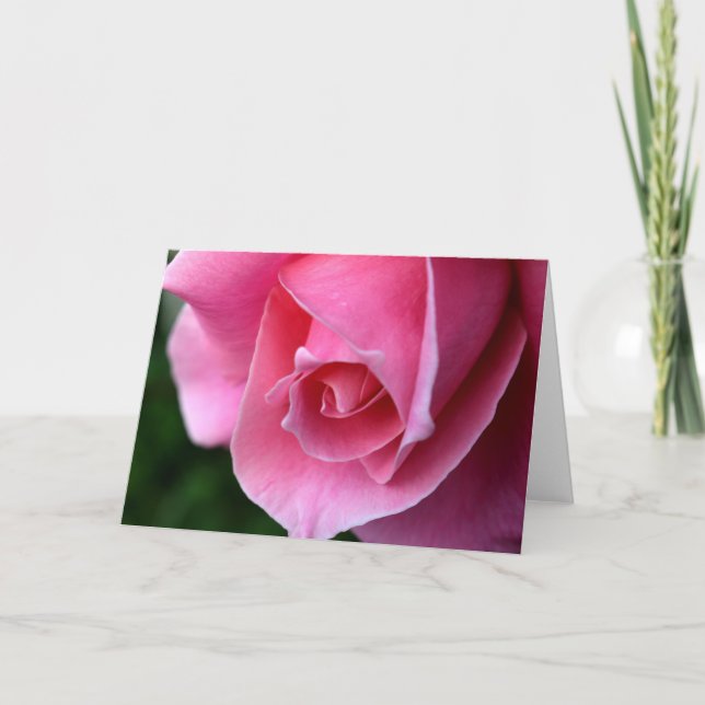 Beautiful Pink Rose Greeting Card (Front)