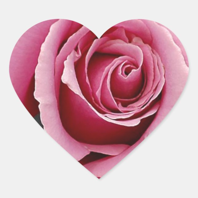 Beautiful pink rose petals print heart sticker (Front)