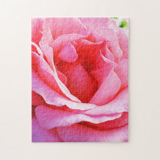 Beautiful pink rose Puzzle