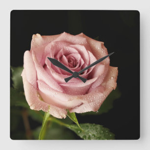 beautiful pink rose square wall clock