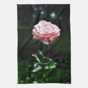 Beautiful Pink Rose Tea Towel