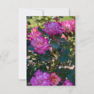 Beautiful Pink Roses Card