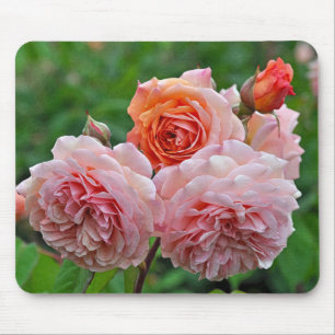 Beautiful pink roses mouse pad