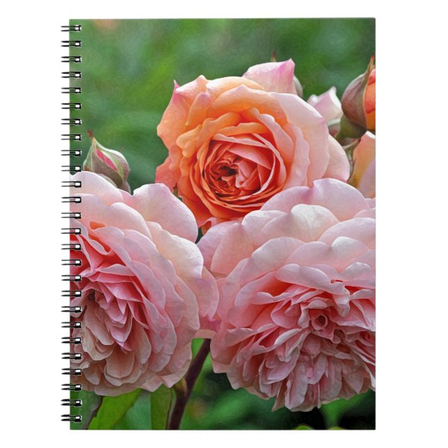 Beautiful pink roses notebook (Front)
