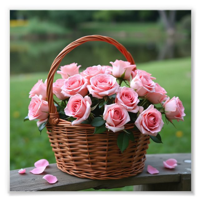 beautiful pink roses photo print (Front)