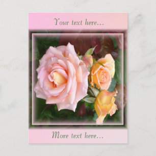 Beautiful Pink Roses Postcard