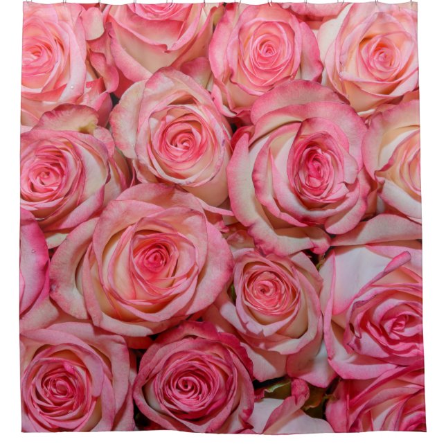 Beautiful pink roses shower curtain (Front)