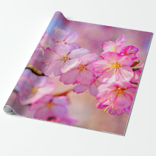 Beautiful Pink Sakura Flowers In Spring Wrapping Paper