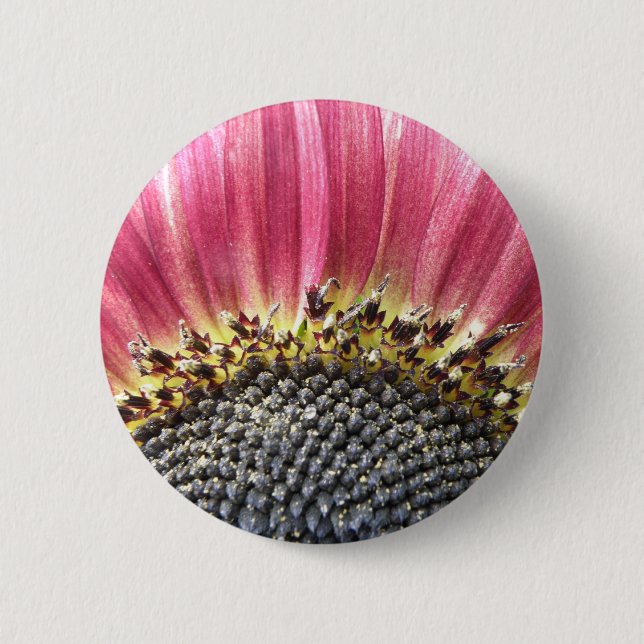 Beautiful Pink Sunflower Button (Front)