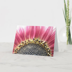Beautiful Pink Sunflower Greeting Card