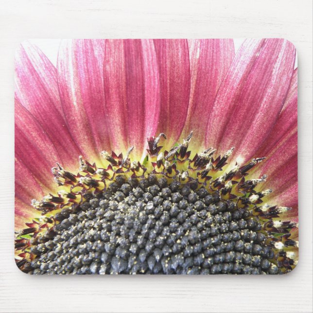Beautiful Pink Sunflower Mousepad (Front)