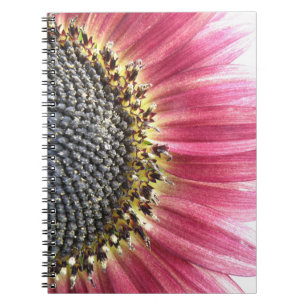 Beautiful Pink Sunflower Notebook