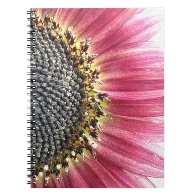 Beautiful Pink Sunflower Notebook (Front)