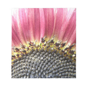 Beautiful Pink Sunflower Notepad
