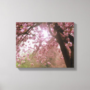 Beautiful Pink Tree Blossom Canvas. Canvas Print