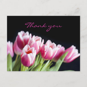 Beautiful Pink Tulips Postcard