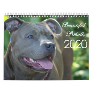 Beautiful Pitbulls 2020 Dog Calendar
