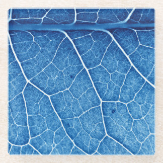 Beautiful Plant Closeup Texture Background Glass Coaster