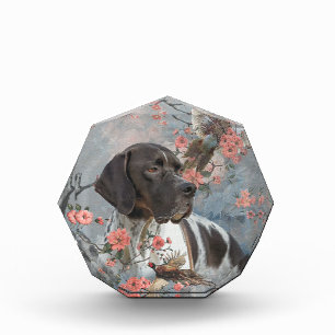 Beautiful pointer with pheasants  photo block