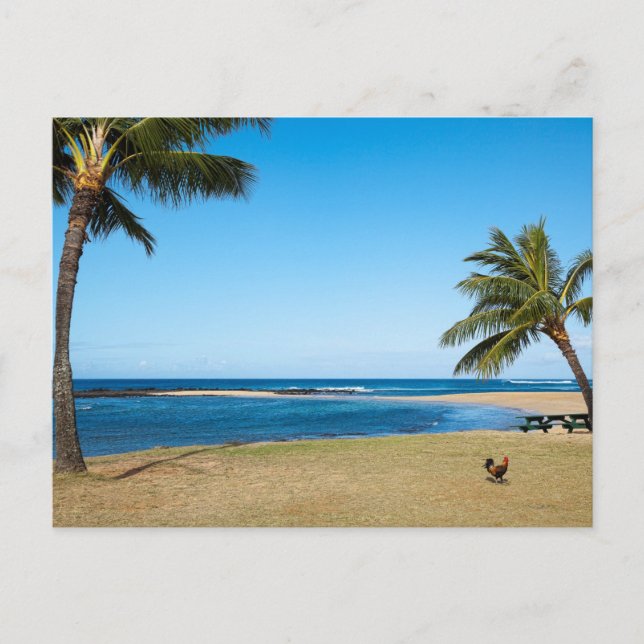 Beautiful Po'ipu Beach, Kaua'i, Hawaii Postcard (Front)
