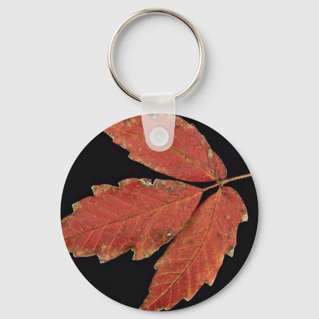 Beautiful Poison Ivy leaves Key Ring (Front)