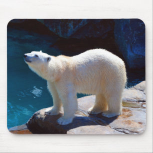 Beautiful Polar Bear Mouse Pad
