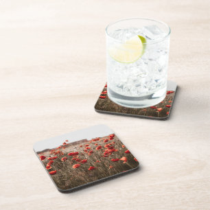 beautiful poppy flowers coaster