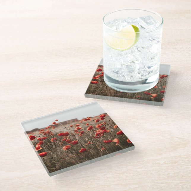 beautiful poppy flowers glass coaster (Angled)