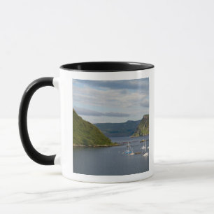 Beautiful port and sailboats with reflections in mug
