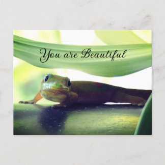 Beautiful Postcard