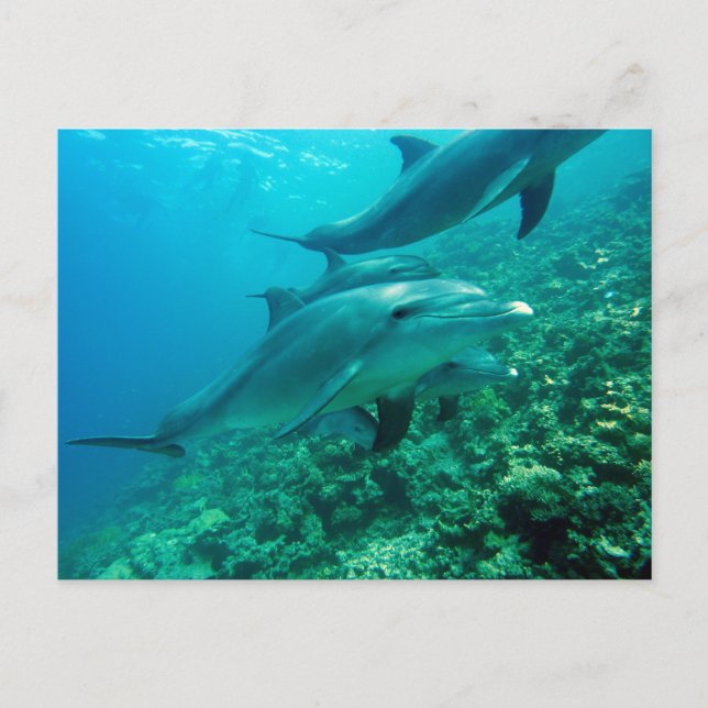 Beautiful Postcard (Front)