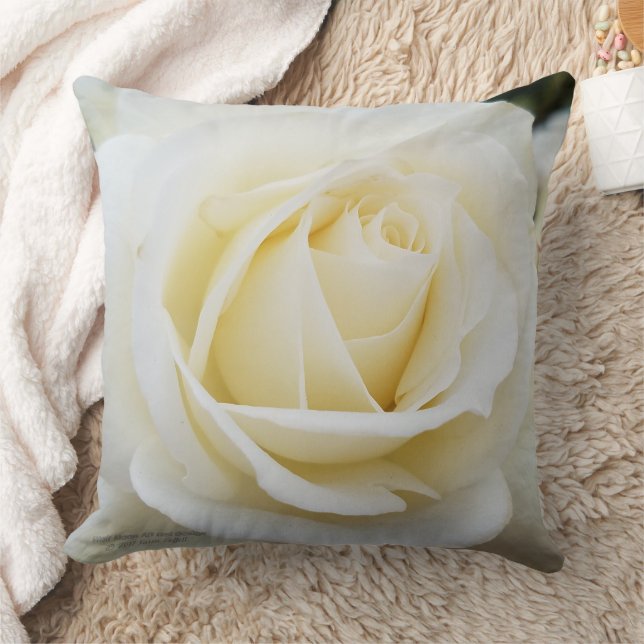 Beautiful pristine white rose photo polyester cushion (Blanket)