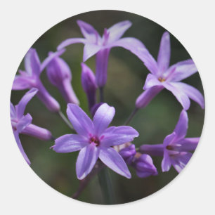 Beautiful Purple Blue Flowers Sticker